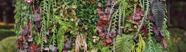 Crea tu propio jardín Vertical
